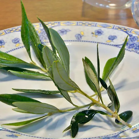 Pavlos Sofia Halikounas