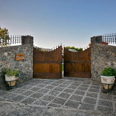 Pavlos Sofia * Halikounas