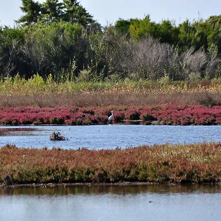 Pavlos Sofia Halikounas